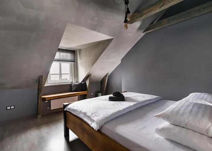 بيت شباب Wicked Weasel